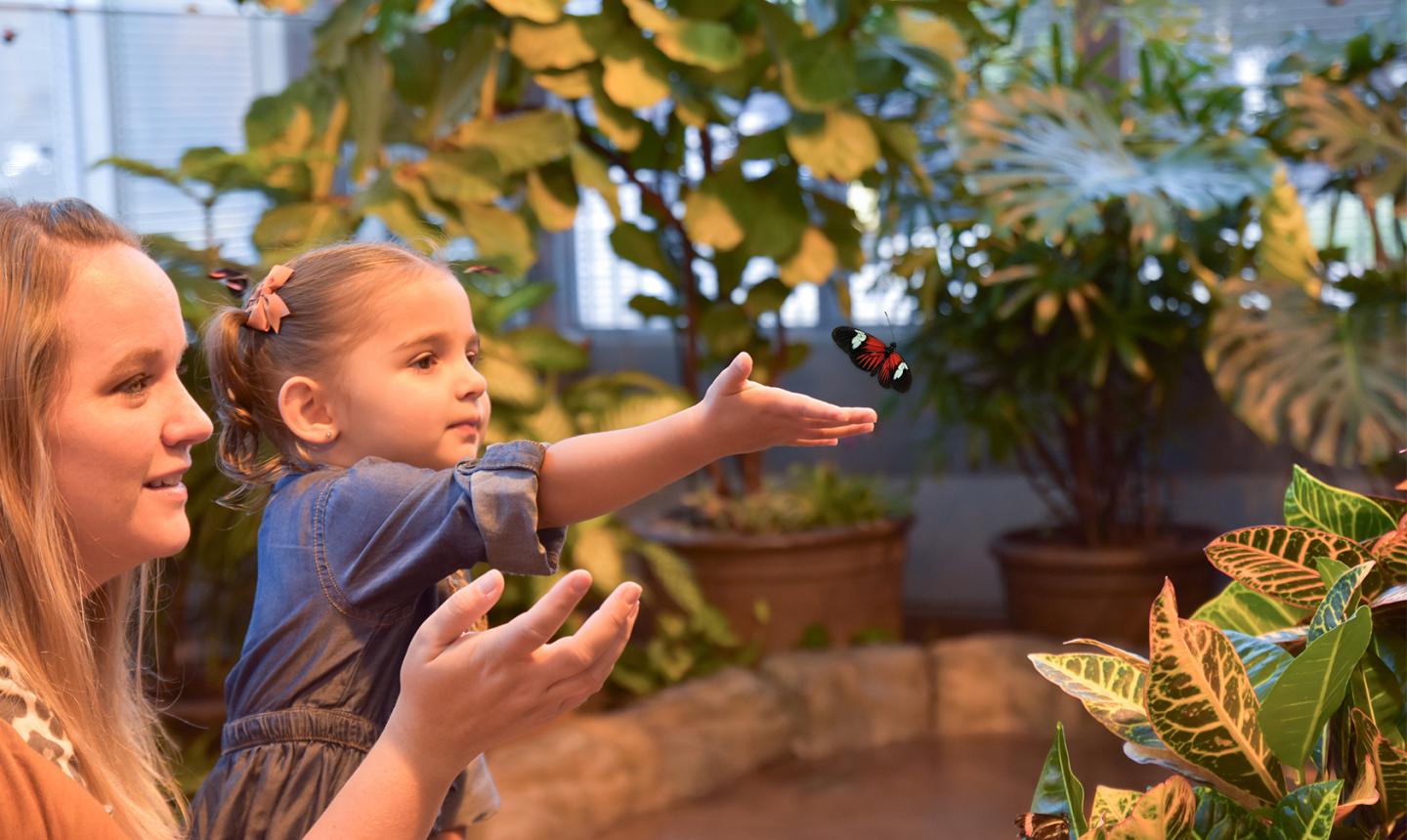 Mother and Daughter in Butterfly Vivarium